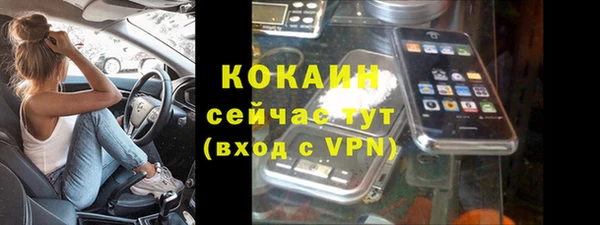 трава Наволоки