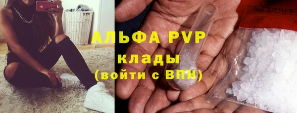 ПСИЛОЦИБИНОВЫЕ ГРИБЫ Надым