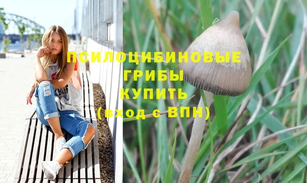 а пвп мука Аркадак
