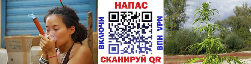 Бошки марихуана THC 21% Фрязино
